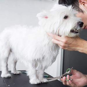 Ciseaux de toilettage pour animaux de compagnie de 7.5 pouces lames incurvées tranchantes ciseaux de coupe de cheveux d'animaux en acier inoxydable avec repose-doigt Double - Product Image 6