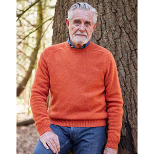 Men Basic Knit Green <b>Crewneck</b> Cotton <b>Sweater</b> Regular Fit Long Sleeve Premium Quality for Wholesale Trending Fashion 2023 - Product Image 5