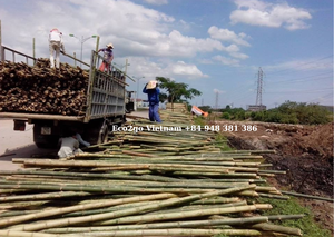 ไม้ไผ่สีเขียวเสาไม้ไผ่แบบเวียดนามขายส่งจาก Eco2go - Product Image 2