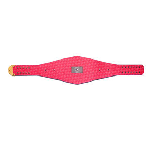 เข็มขัดโลโก้แชมป์นักมวยปล้ำปรับแต่งได้สำหรับกีฬาที่สง่างาม - Product Image 5