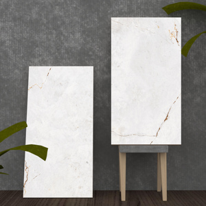 Evergreen Model Special Surface Asia Tiles Elevation Tiles 600X1200mm Manufacturing in India for Luxury Big Villa. - Product Image 1