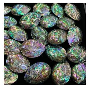 Concha de abulón colorida para diseño de joyería, decoración artesanal y atractivos proyectos de arte hechos a mano - Product Image 1