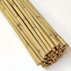 Venta al por Mayor de Postes de Bambú Grandes de Vietnam para Construcción - Marca VietnamCrafts MOQ 100 Piezas Modelo BP009 - Product Image 6