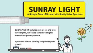 ไฟปลูกต้นไม้แบบญี่ปุ่นประสิทธิภาพสูงอุปกรณ์ทดสอบในห้องปฏิบัติการแบบสากลพร้อมโคมไฟ LED แบบแสงแดด - Product Image 2