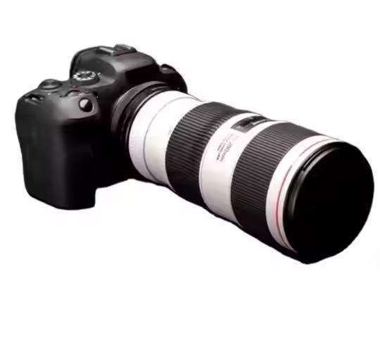 Digital Cameras OS-1D X Mark III OEM Customizable Camcorder