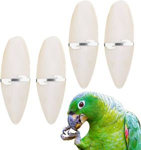 HUESO DE PESCADO SECO LAVADO, JUGUETE DE PÁJARO DE HUESO DE SEPIA FRESCA - Product Image 1