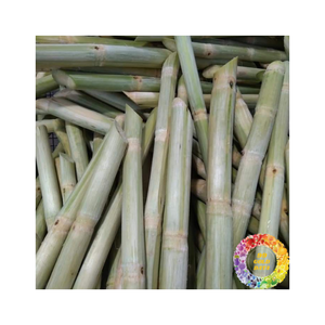 Savoureuse canne à sucre congelée emballée sous vide pour préserver la saveur Facile à utiliser dans les boissons Smoothies et la préparation des aliments - Product Image 1