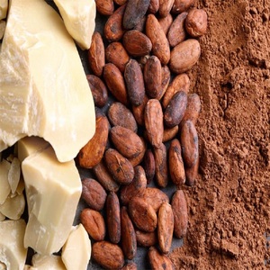 Organic Cocoa Butter Premium Quality Raw Bulk Fast Delivery Wholesale Price - Product Image 6