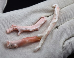 Grand bâton de corail blanc japonais pierre précieuse en vrac peau d'ange corail poli brut fabrication de bijoux de qualité supérieure - Product Image 3