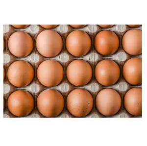 Fornitore di prezzi all'ingrosso di bianco/marrone guscio fresco uova di pollo da tavola sfuso con spedizione veloce