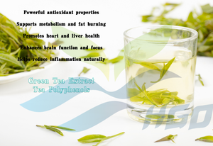 HGO Suministro directo de fábrica de extracto de té verde natural puro (grado alimenticio) Polifenoles de té 90%, 95%, 98% (extracto estandarizado) - Product Image 5