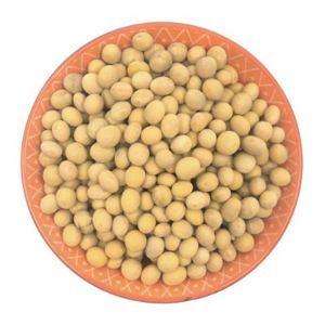 Meilleur prix Nouvelle récolte Soja séché Origine canadienne Soja agricole en vrac emballé - Product Image 2