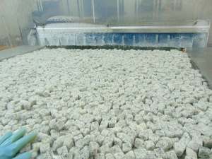 Découvrez Frozen Dragon Delight: Vietnam Snack Dragon de qualité supérieure, naturellement sucré, parfait pour les smoothies et les desserts à la mode - Product Image 4