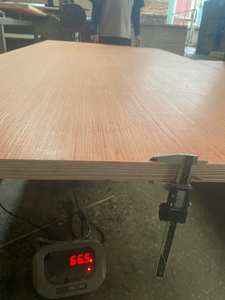 ไม้อัดปูพื้นภาชนะ T5เวียดนามมาตรฐานสากลสำหรับชิ้นส่วนภาชนะและอุปกรณ์เสริม - Product Image 5