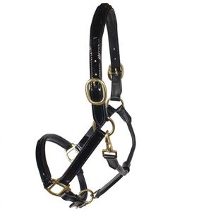 Cuir Halter surélevé nez rembourré et cousu. Couronne rembourrée avec quincaillerie en laiton avec encliquetage rapide pour un soulagement rapide - Product Image 5