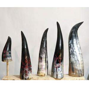 Tasse rustique Viking Drinking Horn pour Ale & Beer - Product Image 3