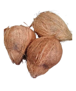 Abastecimiento de coco seco Premium para sus productos alimenticios - Product Image 3