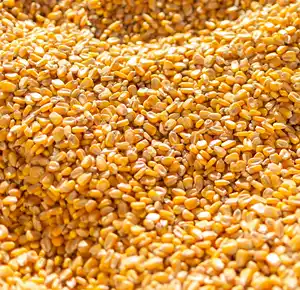 Best grade top quality dried yellow Cattle Feed Yellow Maize Wholesaler yellow maize export