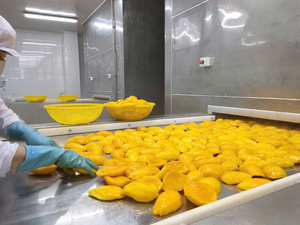 Bon prix d'usine de mangue molle congelée à bas prix du Viet Nam - Product Image 2