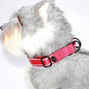 Laisse et collier durables, souples et ajustables en polyester et nylon à motif animalier moderne pour chats et chiens, fabriqués au Vietnam - Product Image 6