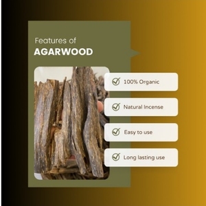 Incienso de madera Gulagat de madera de agar de alta calidad de Grado Superior y soportes de incienso Uso religioso Premium - Product Image 2