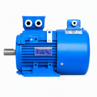 Moteur électrique à induction triphasé série Y3VP haute vitesse 2910 tr/min, vitesse réglable par conversion de fréquence