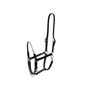 Cabestro para Caballo de Cuero Genuino 100% de Primera Calidad |   Diseño Anatómico |   Hebillas de Latón Macizo para Exhibición, Ajustables y Cómodas - Product Image 1