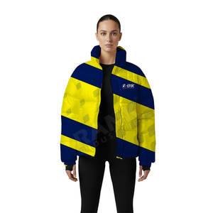 Veste à bulles élégante pour femmes avec rembourrage chaud et intérieur doux Veste à bulles pour un usage quotidien en hiver - Product Image 1