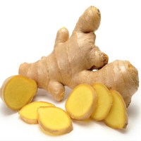 Gingembre frais en vrac, excellente qualité, conforme aux normes européennes, récolte de l'année dernière, origine Thaïlande, pour l'alimentation et l'agriculture, prix par tonne sur le marché.