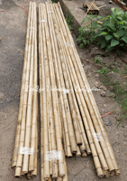 PENJUALAN BESAR TONGKAT BAMBU ALAMI dan BERKELANJUTAN/ TONGKAT BAMBU HIJAU/ TONGKAT BAMBU UNTUK TAMAN DARI ECO2GO VIETNAM