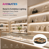 Bande lumineuse flexible Raymates CE ROHS Cob 480 leds 5 mm 24 V pour éclairage de cuisine/chambre/comptoir, garantie 3 ans