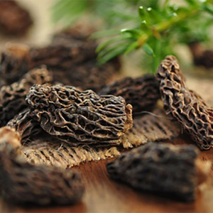 Hongo Morel a precio de fábrica con hongo Morel de alta calidad de Vietnam - Product Image 2