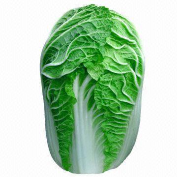 Красная свежая цельная капуста зеленая и красная