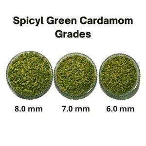 Graines de cardamome biologique de haute qualité du Guatemala Cardamome verte Prix préférentiel Herbe séchée Modèle certifié d'épices - Product Image 4