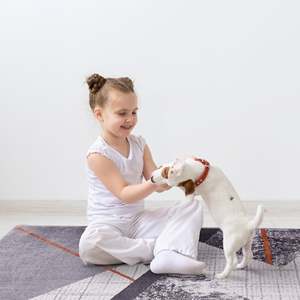 Netline Home Southbank Stripes Mid Grey Abstract Washable <b>Rug</b> - Product Image 5