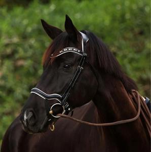 Brida Clásica de Cuero para Caballo, Brida Beniers de Cuero para Caballo, Brida Beniers de Cuero para Caballo de Temporada - Product Image 6