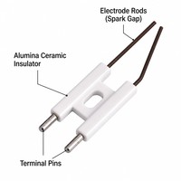 Électrode d'allumage à double électrode en céramique blanche pour brûleur à gaz, en forme de H, haute tension