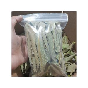 PRODUCTO CALIENTE HOJA DE GUAYABA SECA CON ALTA CALIDAD HECHO EN VIET NAM PRODUCTO AL MEJOR PRECIO DE BLUE LOTUS FARM VIET NAM 2024 - Product Image 3