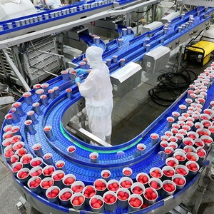 Pomodori Pelati Interi in Scatola, Pomodori Pelati in Lattina, Pomodori Tritati - Product Image 6