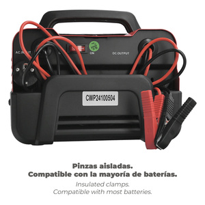 Caricabatterie 12/24V 10-100Ah - Product Image 5