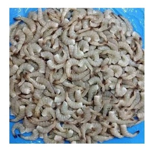 Camarones enteros sin piel |   Proveedor Mayorista de Mariscos Congelados - Product Image 5