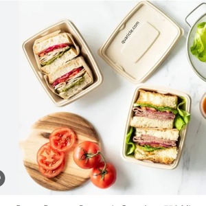 Bol à salade jetable durable de 500ml en fibre de bagasse de canne à sucre ovale compostable écologique pour les restaurants et les fêtes culinaires - Product Image 4