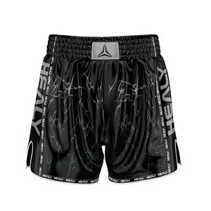 Pantalones Cortos de Artes Marciales Mixtas Healy, Sublimados, de Secado Rápido, de Poliéster, para Hombre, Deportivos, de Boxeo, Corte Regular, Cintura Elástica para Adultos - Product Image 1