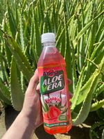 Jus d'aloe vera ABEST saveur pastèque 500ml bouteille PET Boisson Halal OEM ODM Usine Vietnam Fournisseur en gros