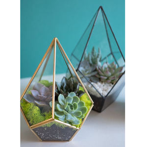 Terrariums en verre modernes exclusifs, nouvelle arrivée, très demandés, bordure en laiton, forme triangulaire, finition personnalisée faite à la main, noir - Product Image 6