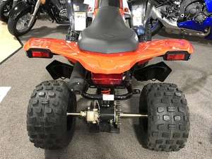 ALTO RENDIMIENTO 2024/2025 -- = Cannn-Am DS 250 con puerta avanzada-= A-= Puerta personalizada - Product Image 2