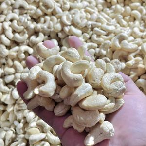 Usine de confiance noix de cajou brutes en gros 160 180 240 Santigo usine emballage personnalisé - Product Image 1