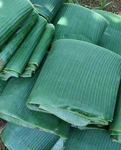 ใบตองแช่แข็ง100% ขายดีที่สุดสำหรับห่ออาหาร-อาหารใบตองแช่แข็งยั่งยืนจากแหล่งผลิตในเวียดนาม - Product Image 5