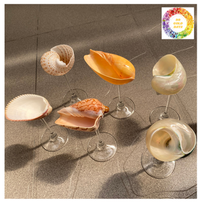 Verre de coquille de haute qualité du Vietnam pour la crème glacée de cocktail de Champagne et les desserts de fruits - Product Image 5