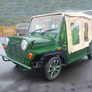 Vehículo Eléctrico Turístico Verificado de 4-6 Plazas con Carrocería Abierta, Listo para Conducir, Suministrado desde Japón - Product Image 1